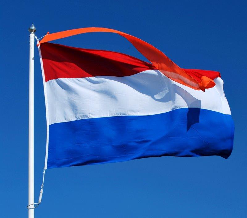 Nederlandse Vlag Met Oranje Wimpel Vlag Online