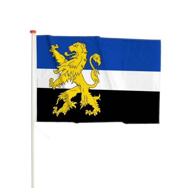 vlag-Hilvarenbeek